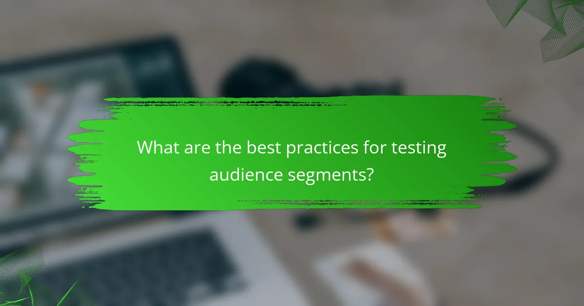 What are the best practices for testing audience segments?